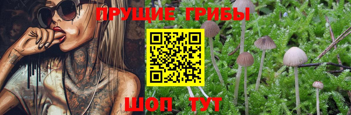 Псилоцибиновые грибы мухоморы  Псилоцибиновые грибы MAGIC MUSHROOMS  Краснокаменск  Вход с VPN 