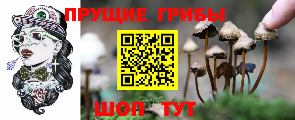Псилоцибиновые грибы GOLDEN TEACHER Краснокаменск